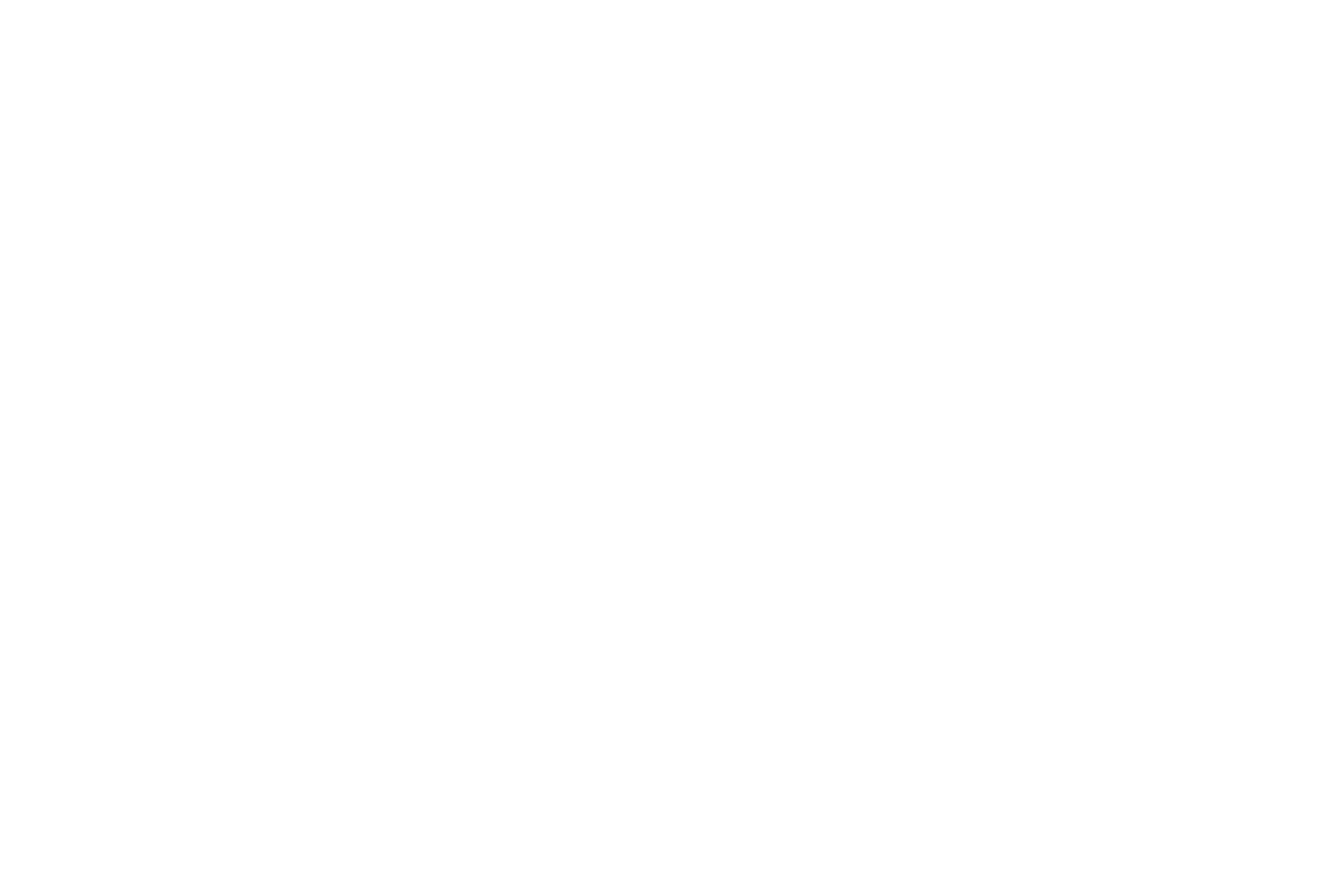 chromatist-logo